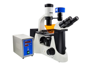 چین میکروسکوپ فیلتر UV / UV و میکروسکوپ معکوس مرحله مکانی قابل پیوستن تامین کننده