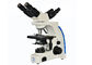 چراغ سه بعدی LED Multi View Microscope 1000x Magnification 2 Position تامین کننده