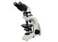 UP102i میکروسکوپ نوری Polarized Microscopy دوقطبی آموزش UOP میکروسکوپ تامین کننده