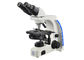 میکروسکوپ بالا میکروسکوپ دوقطبی حرفه ای با بالاترین میکروسکوپ بزرگنمایی تامین کننده